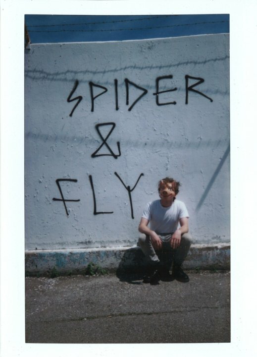 Постер Spider & Fly