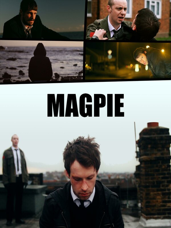 Постер Magpie