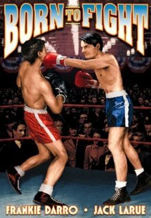 Постер Born to Fight