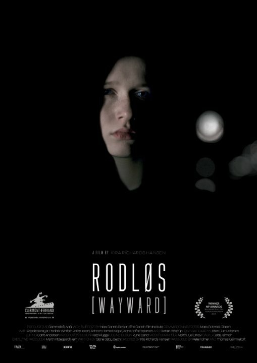 Постер Rodløs