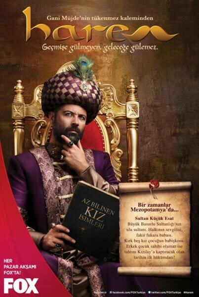 Постер Гарем