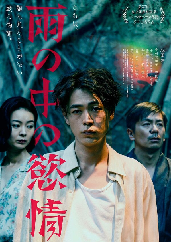 Постер Страсть под дождём