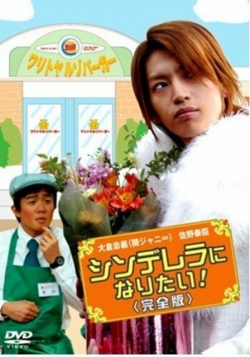 Постер Хочу стать Золушкой