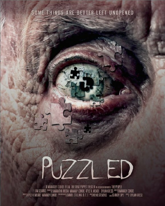Постер Puzzled