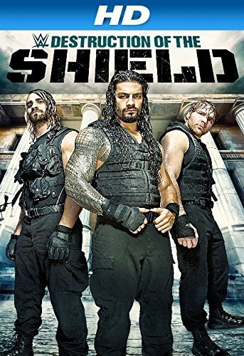Постер Journey to SummerSlam: The Destruction of the Shield