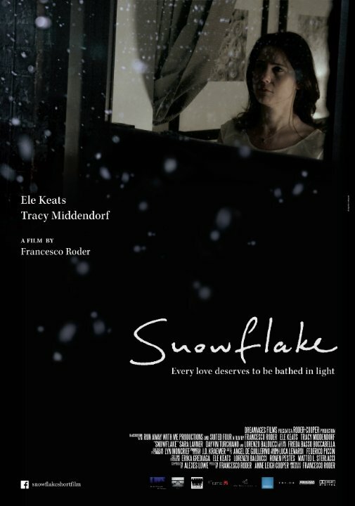 Постер Snowflake