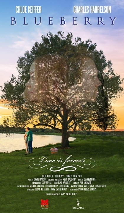 Постер Blueberry