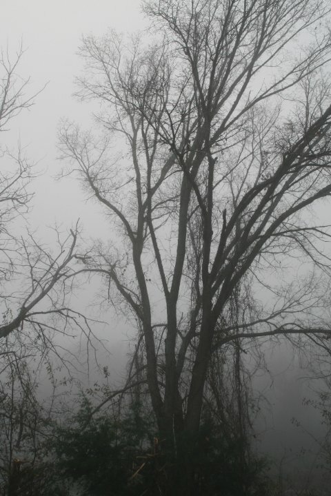 Постер A Haunting in Arkansas