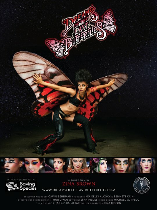 Постер Dreams of the Last Butterflies