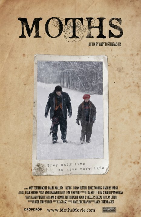 Постер Moths