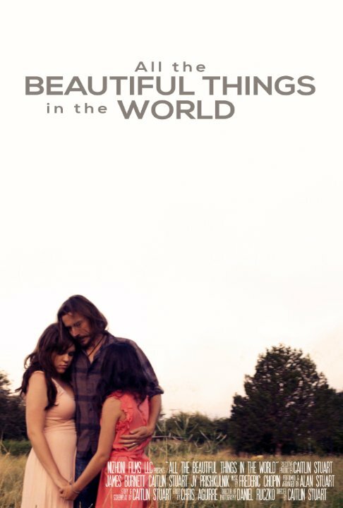 Постер All the Beautiful Things in the World