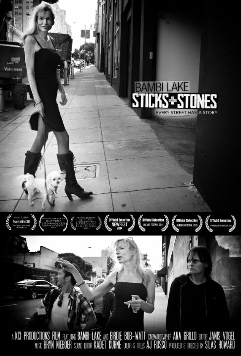 Постер Sticks & Stones