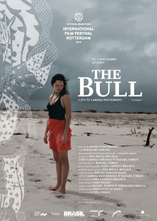 Постер O Touro