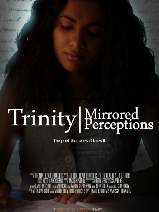 Постер Trinity: Mirrored Perceptions