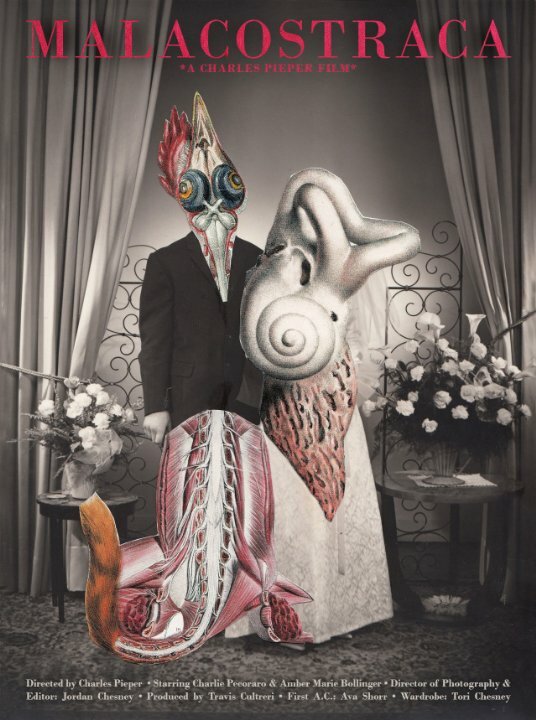 Постер Malacostraca