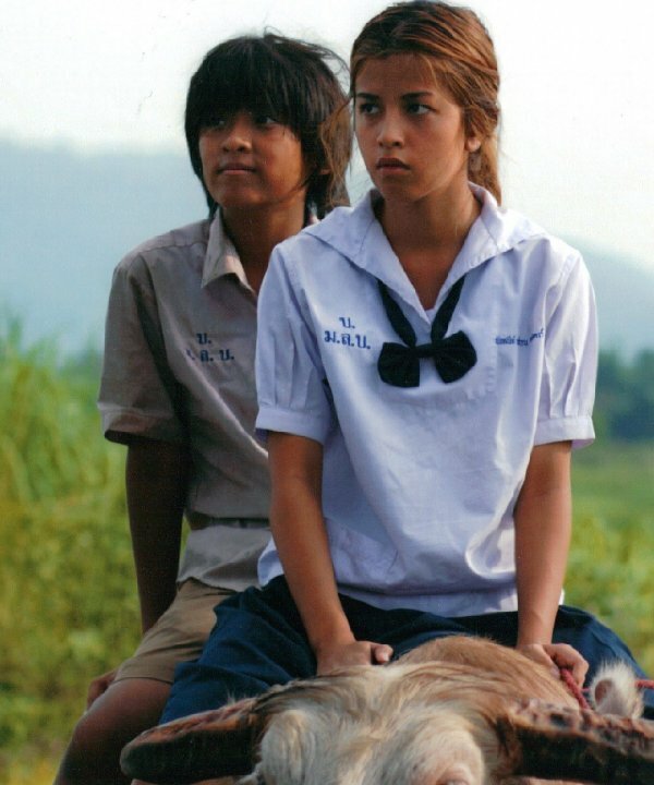 Постер Buffalo Rider