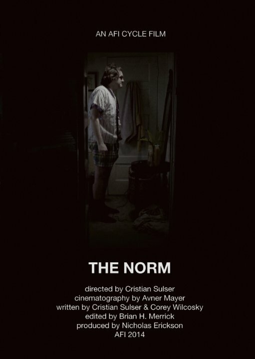 Постер The Norm