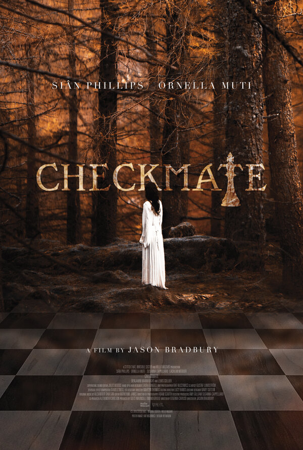 Постер Шах и мат