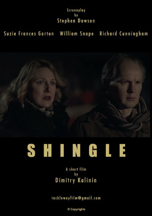 Постер Shingle