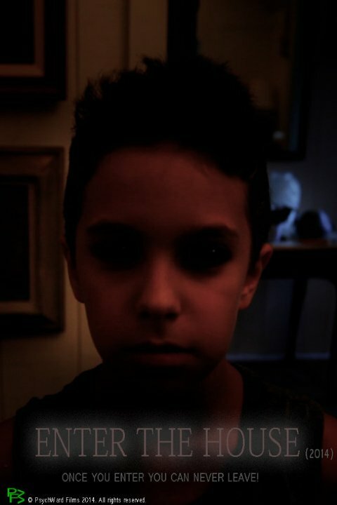 Постер Enter the House