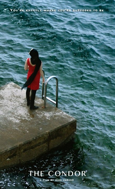 Постер The Condor