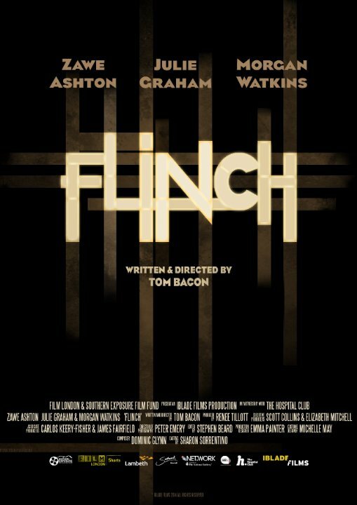 Постер Flinch