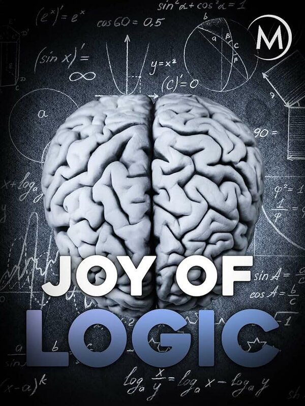 Постер Изящество логики