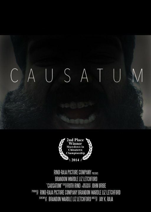 Постер Causatum