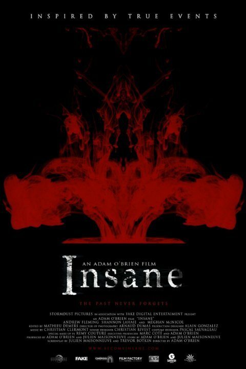 Постер Insane