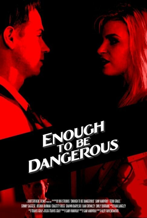 Постер Enough to Be Dangerous