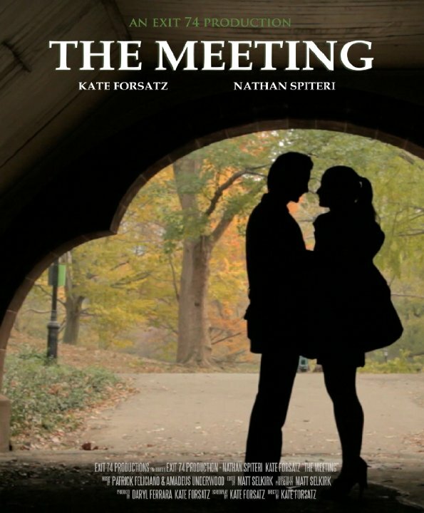 Постер The Meeting