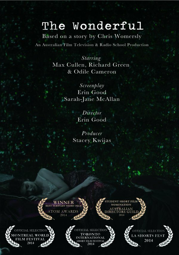 Постер The Wonderful