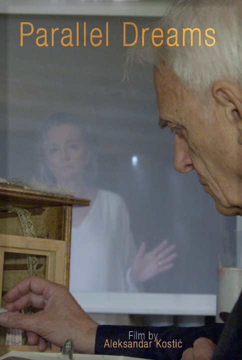 Постер Parallel Dreams