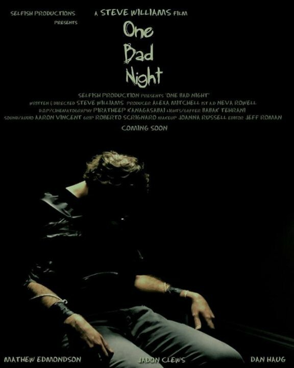 Постер One Bad Night