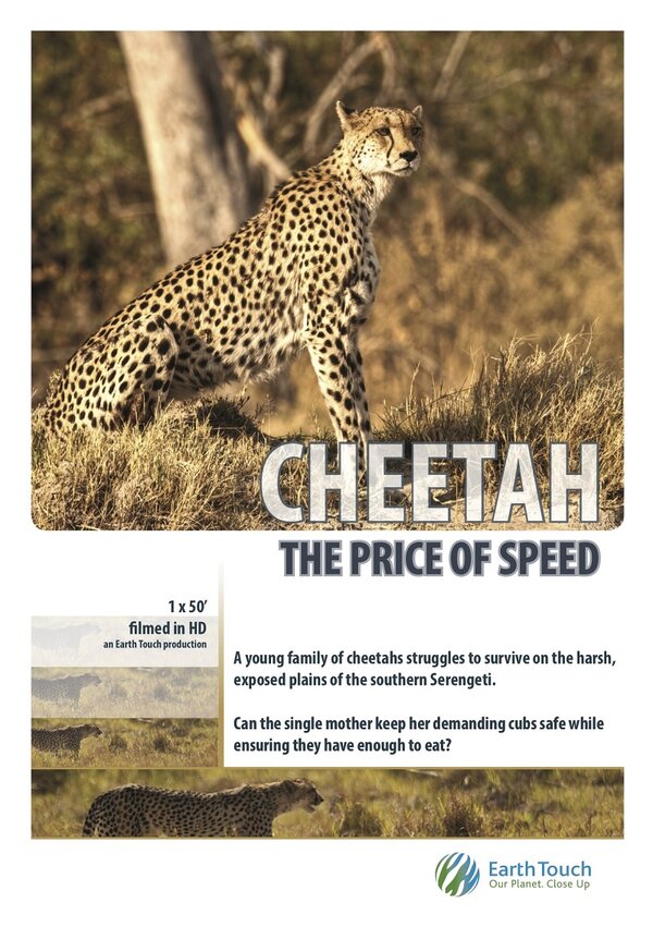 Постер Cheetah: The Price of Speed