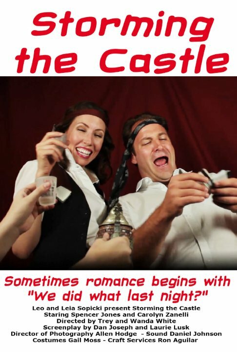 Постер Storming the Castle