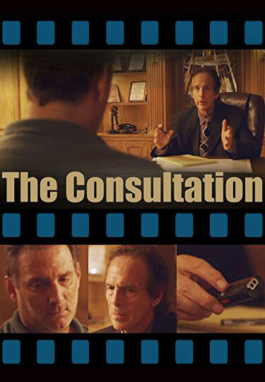 Постер The Consultation