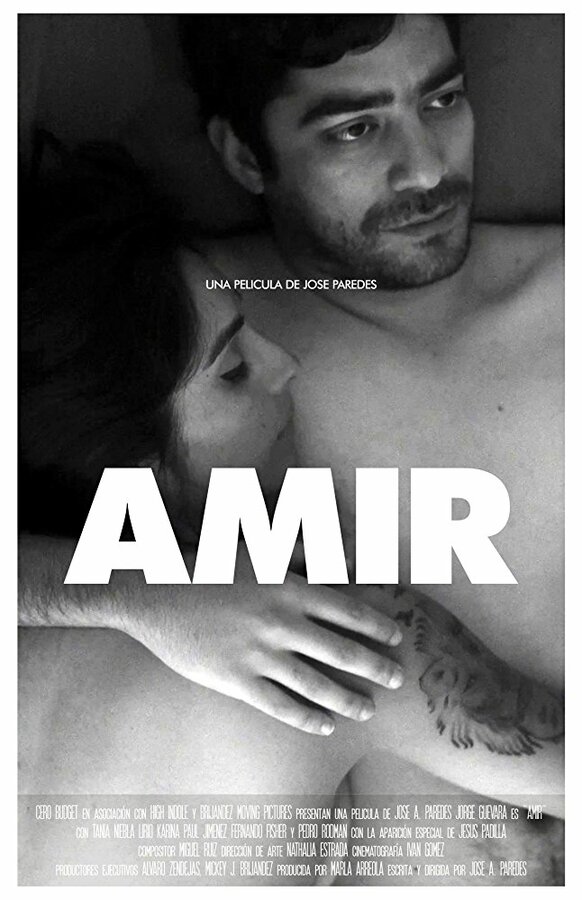 Постер Amir