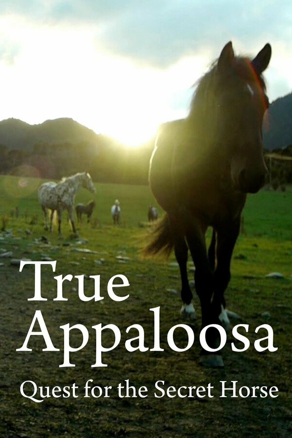 Постер The Secret Horse: Quest for the True Appaloosa