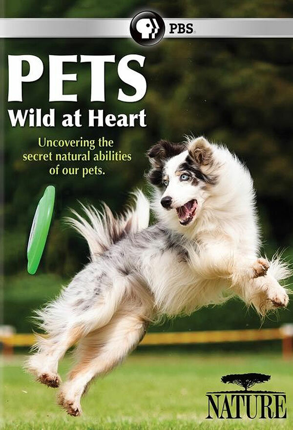 Постер Pets: Wild at Heart