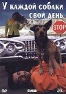Постер У каждой собаки свой день