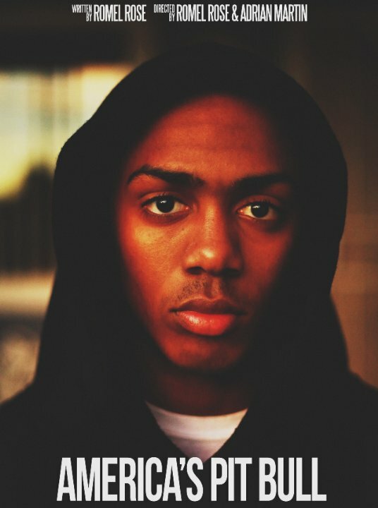 Постер America's Pit Bull