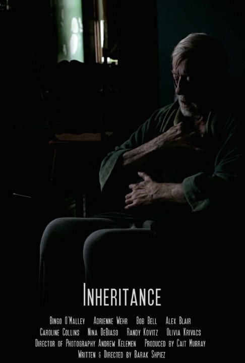 Постер Inheritance