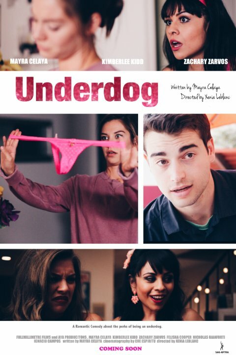 Постер The Underdog
