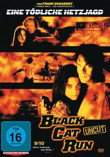 Постер Бег черной кошки