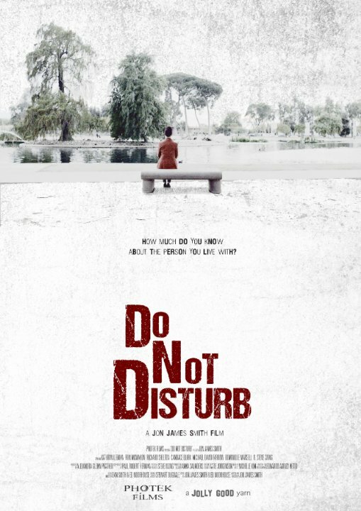 Постер Do Not Disturb