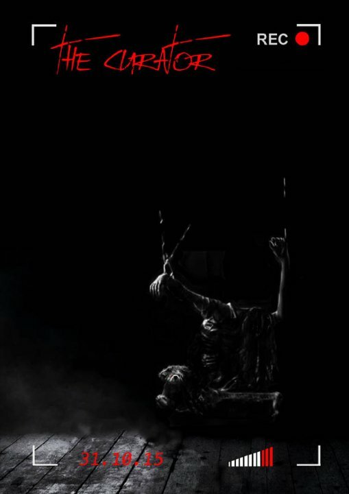 Постер The Curator