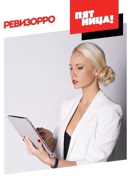 Постер Ревизорро