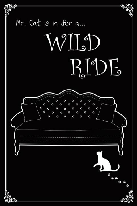 Постер Wild Ride