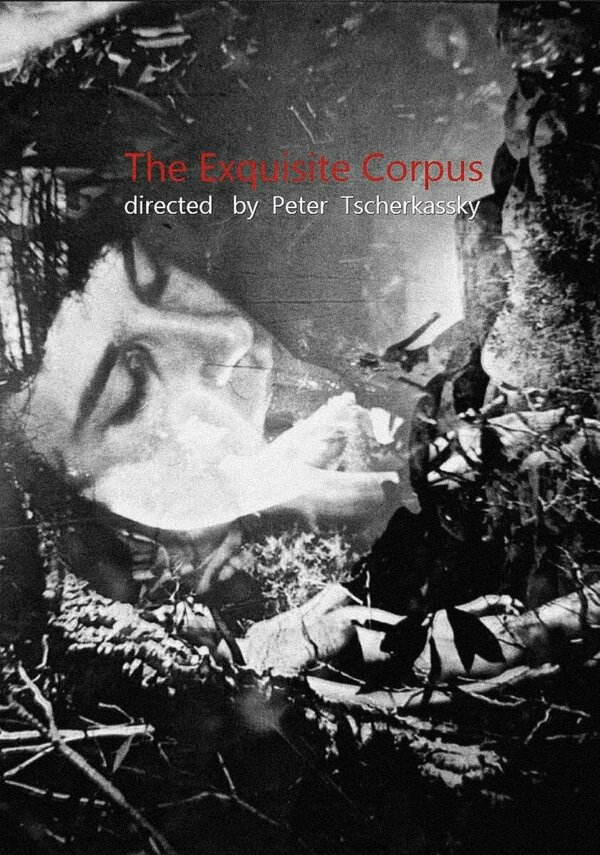 Постер Изящное тело